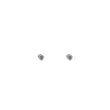 14KT White Gold Diamond Stud Earrings