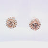 14K Morganite Studs